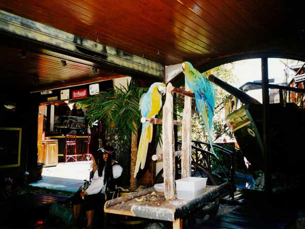 Rhodos 2002 Taverne