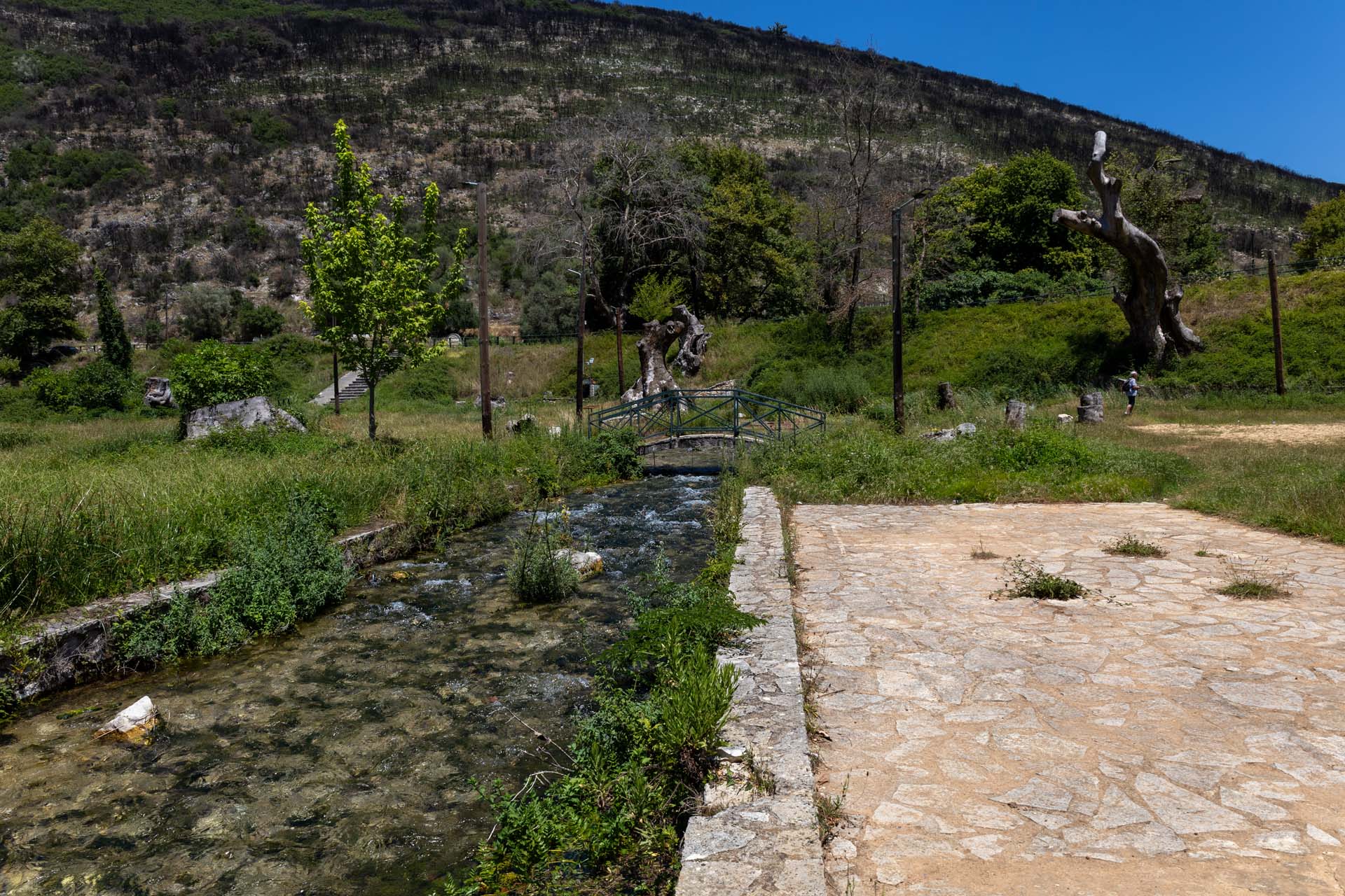 Eindr&uuml;cke aus dem Platanenwald Agios Georgios